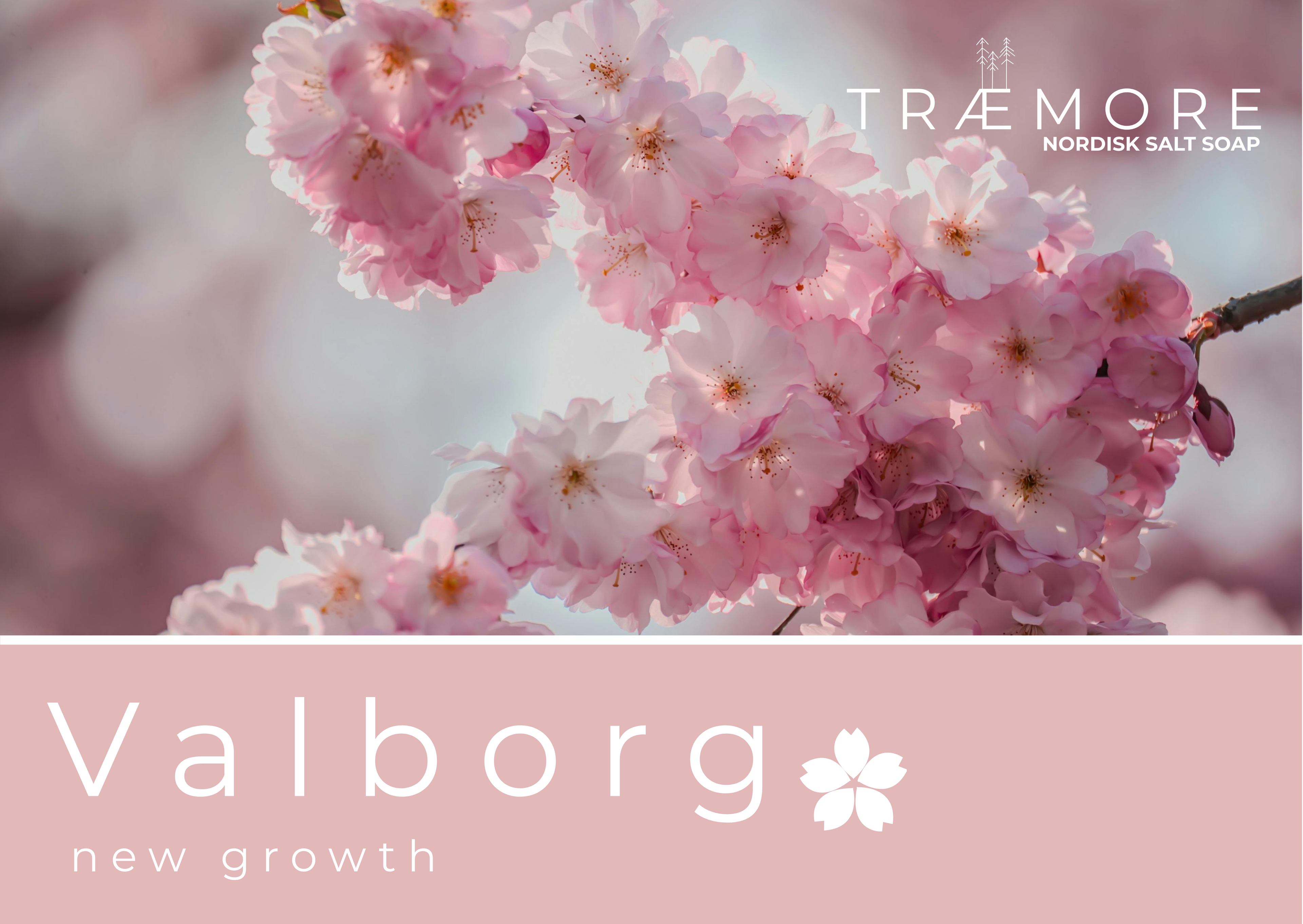 Spir – Nordisk SaltSoap - new growth